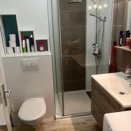 アパート Superbe Face Aux Iles Sanguinaires *