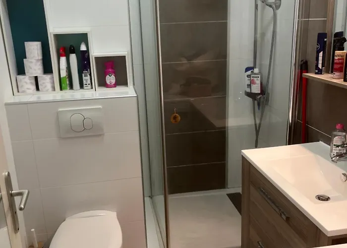 Apartamento Superbe Face Aux Iles Sanguinaires *