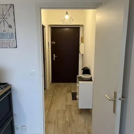 Superbe Face Aux Iles Sanguinaires