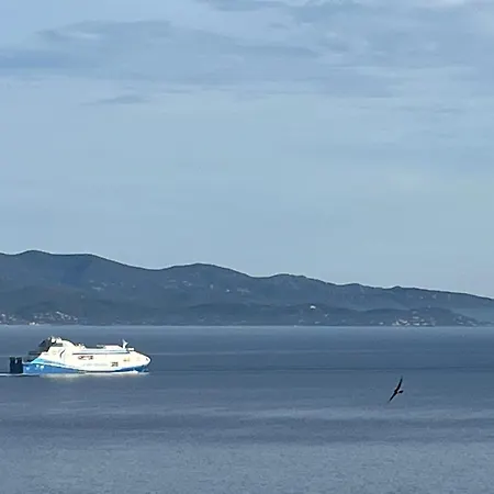 Superbe Face Aux Iles Sanguinaires Appartement *