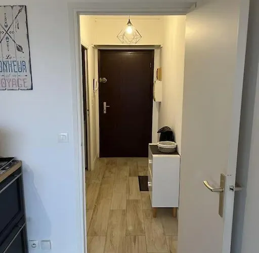 Superbe Face Aux Iles Sanguinaires